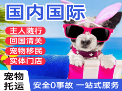 日喀则和平国际宠物托运 【国